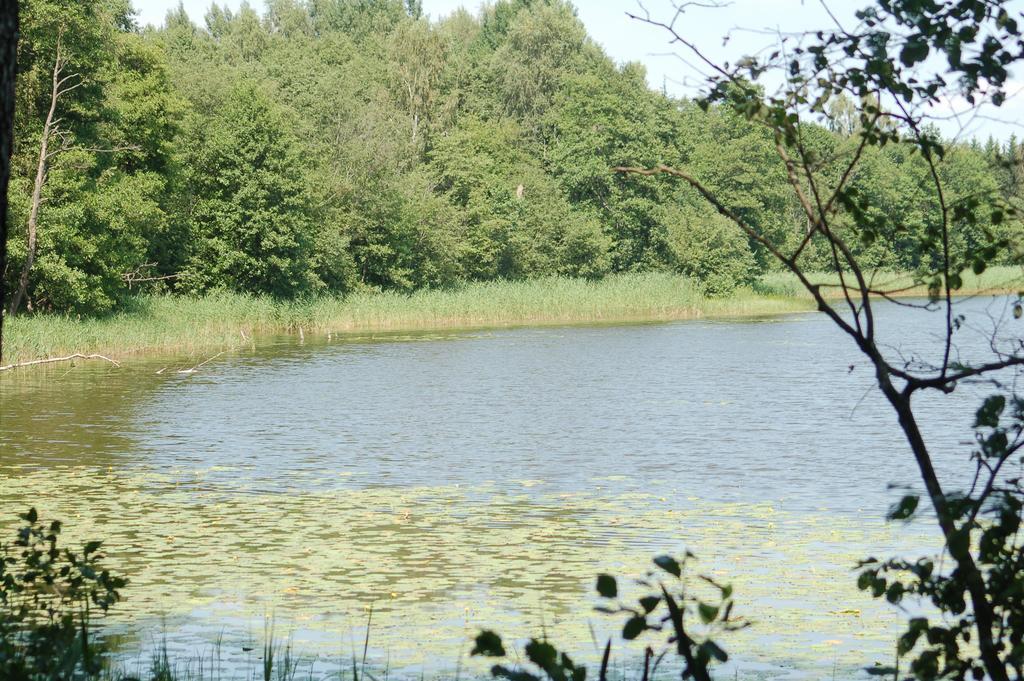Puszcza Romincka Galwiecie