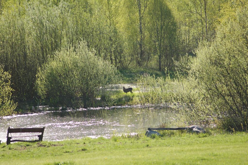Bauernhof Puszcza Romincka Galwiecie